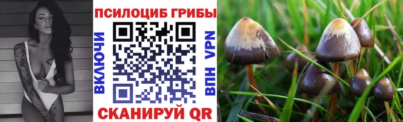 Галлюциногенные грибы Magic Shrooms  Купить где  Касимов 